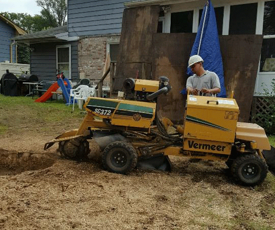 Stump Removal