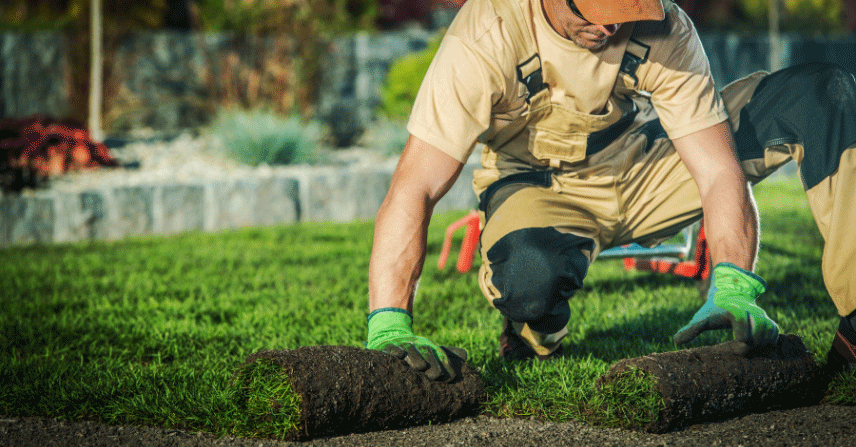 Workder putting down sod in clients yard. Premier Residential and Commercial Landscaping Services