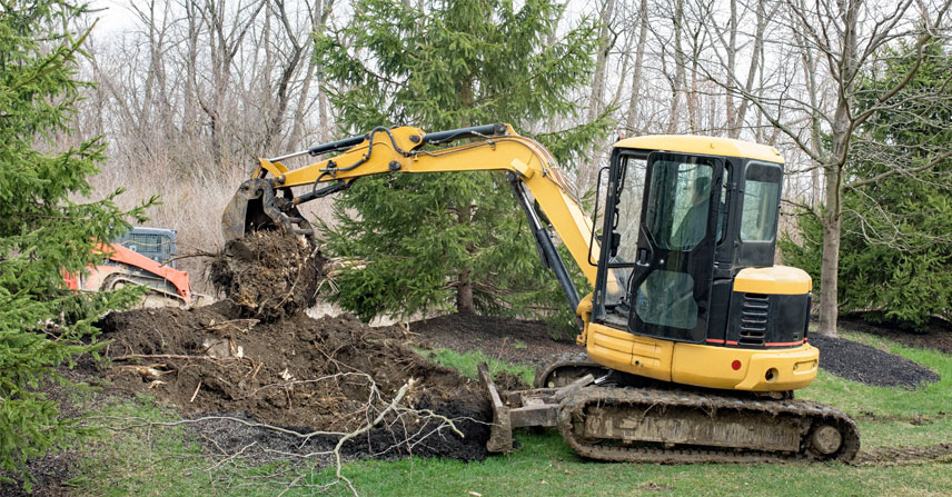 Mac and Son Tree Expert stumb removal  We can help! We offer stump grinding and removal services to make your life easier.