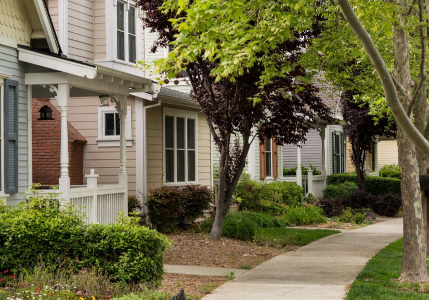 Suburban Maryland/DC street with storm clouds above healthy, maintained trees.